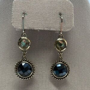 Elegant Drop Earrings #305
